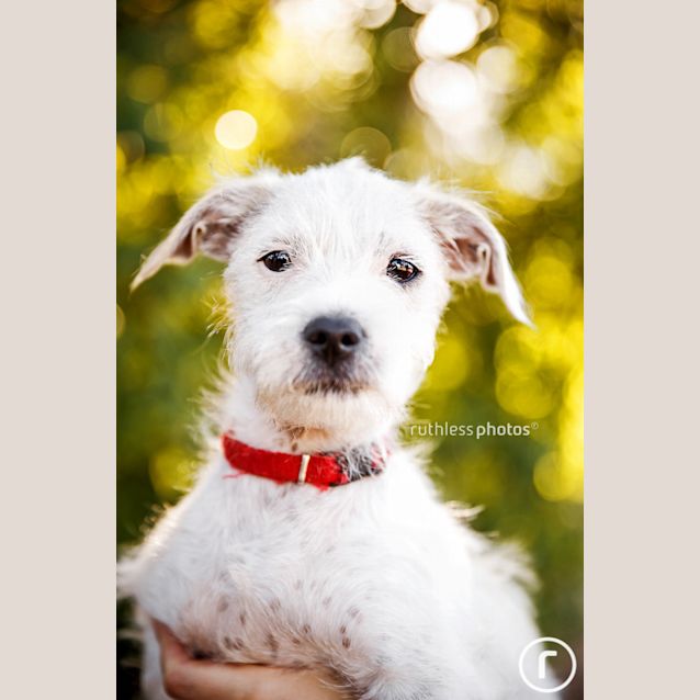 Photo of Disco