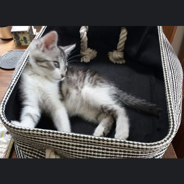 Photo of Leo