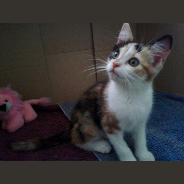 Photo of Milly