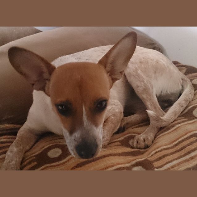Photo of Miss Tilly