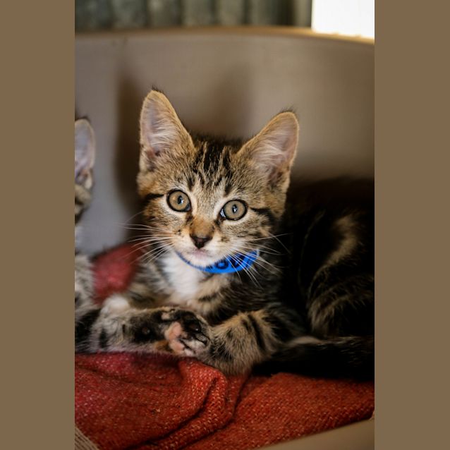 Photo of Luminoso (4875)