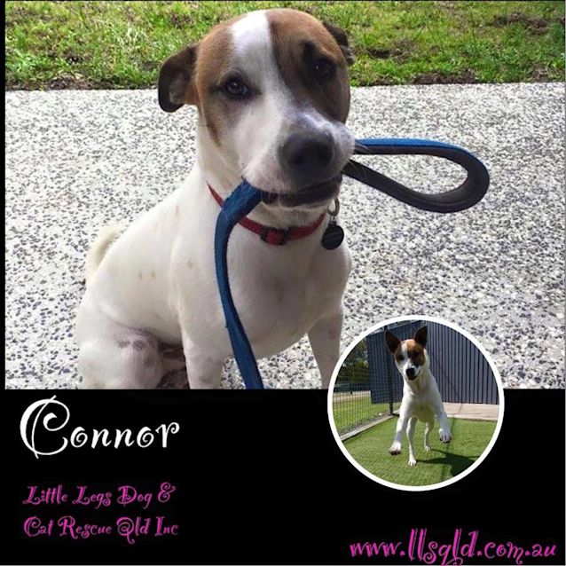 Photo of Connor