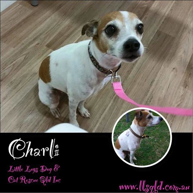 Photo of Charli