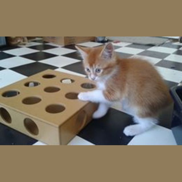 Photo of Mimi