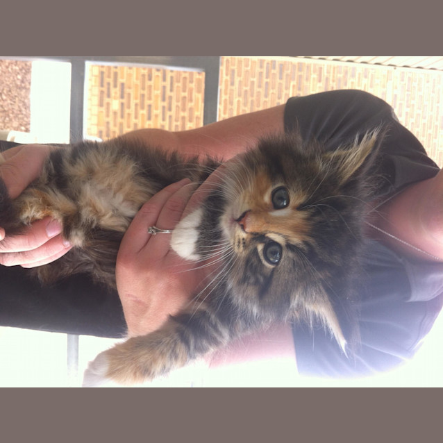 Photo of Freia