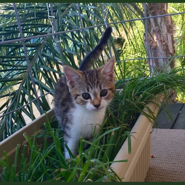 Photo of Tasha