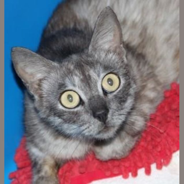 Photo of Wendy