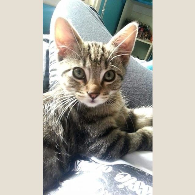 Photo of Fudge Ec0169