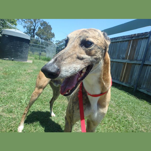 Photo of Crunchie