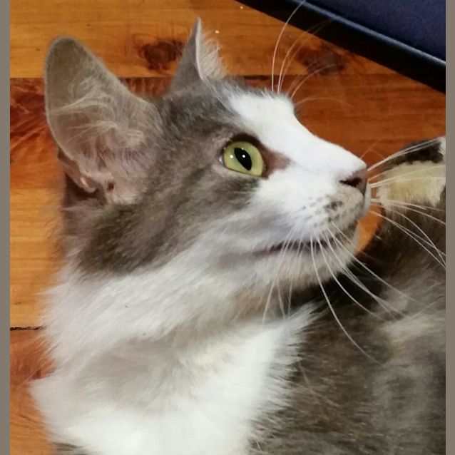 Photo of Fen