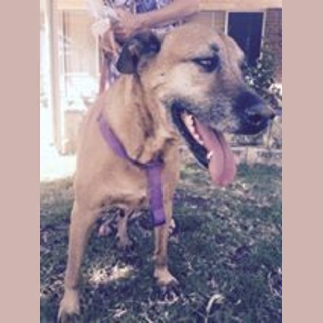 Photo of Amber And Arnie