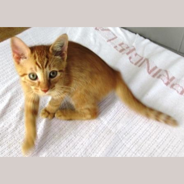 Photo of Zeus