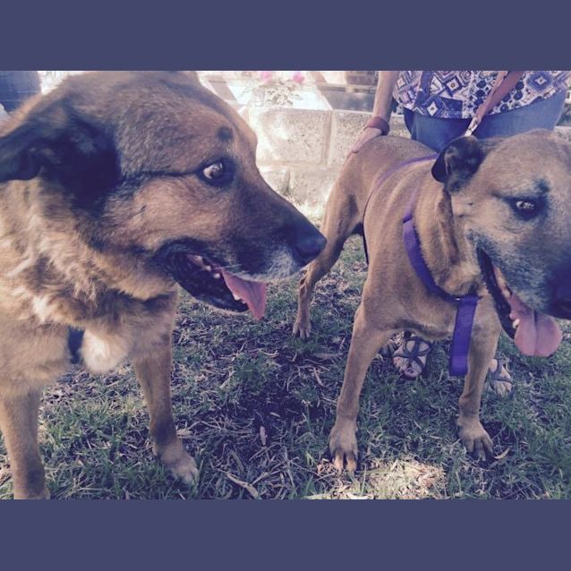 Photo of Amber And Arnie