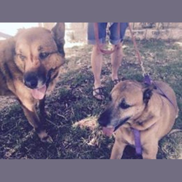 Photo of Amber And Arnie