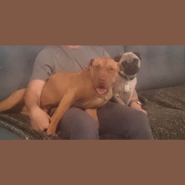 Photo of Delilah