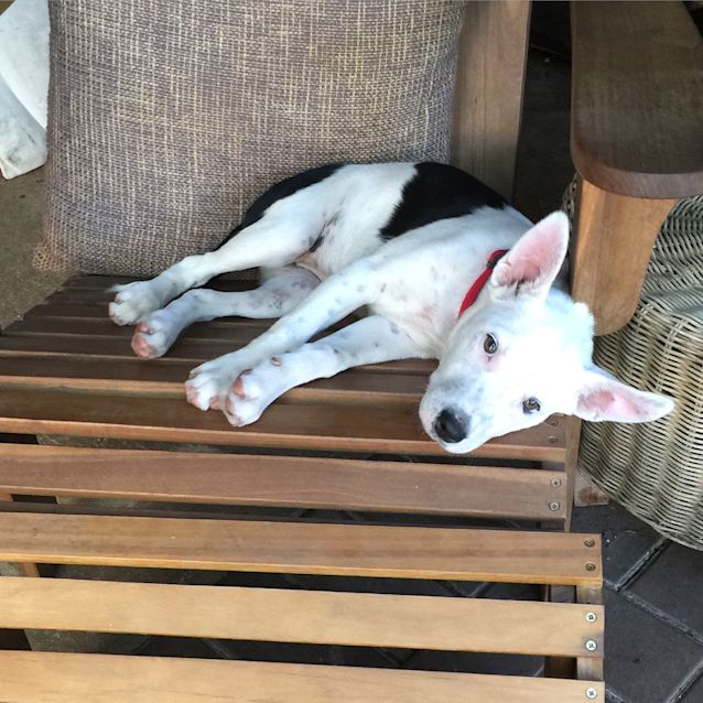 Photo of Miss Daisy Pickle