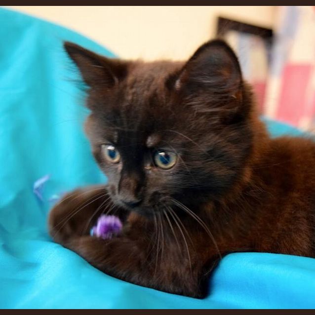 Photo of Mystique