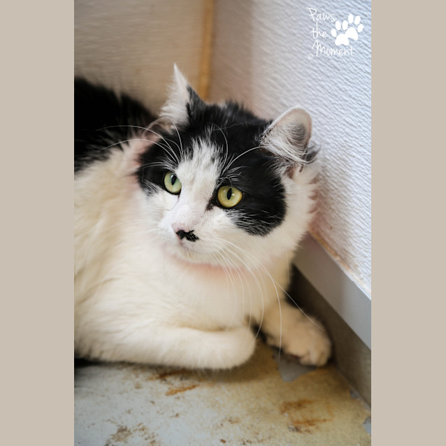 Photo of Husna (4991)