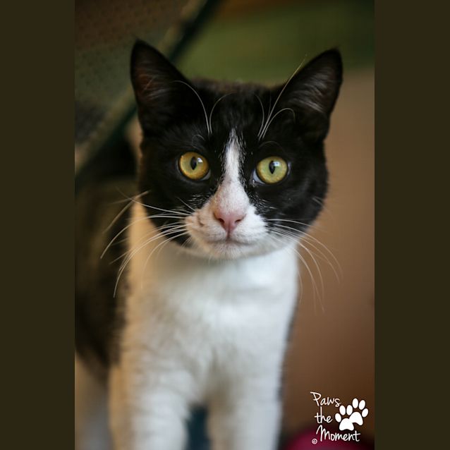 Photo of Anwen (4934)