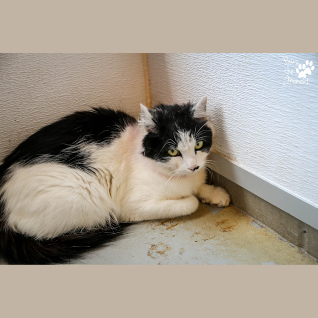 Photo of Husna (4991)