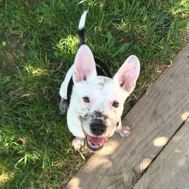 Photo of Miss Daisy Pickle