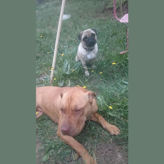 Photo of Delilah