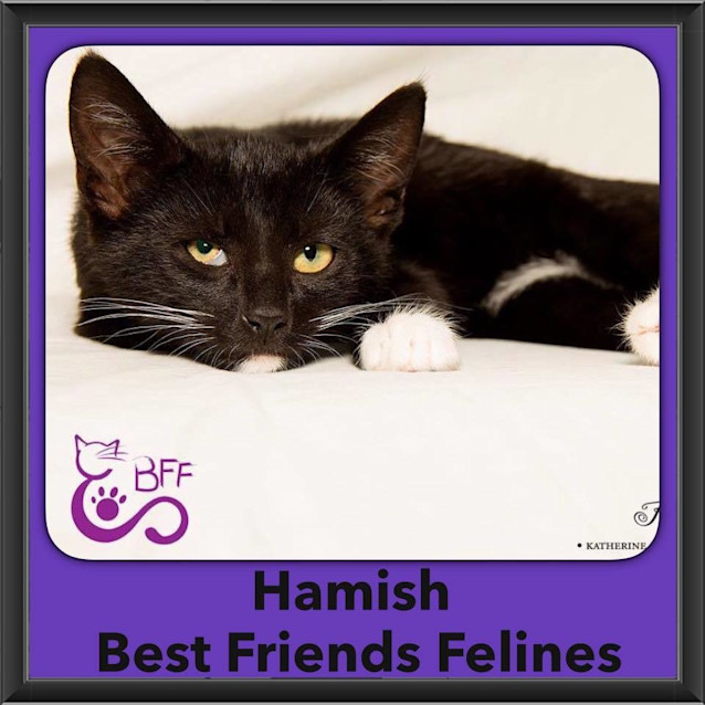 Photo of Hamish 