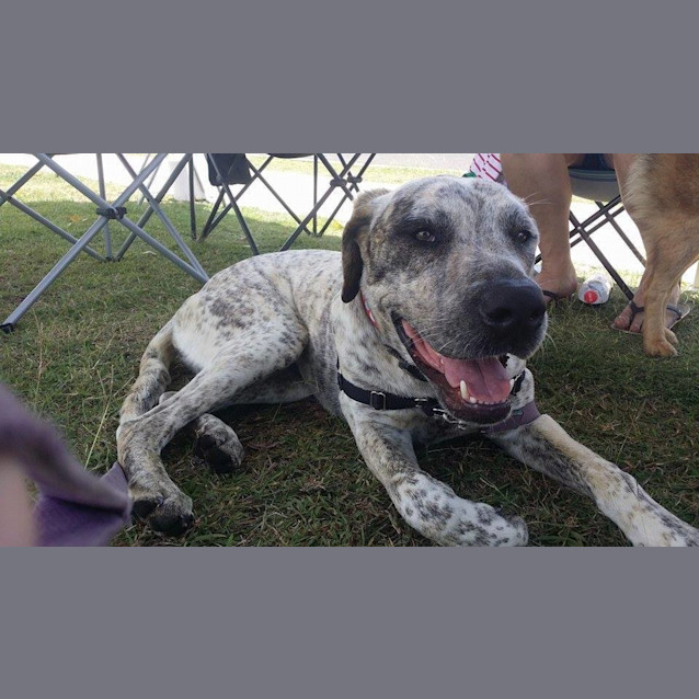 Photo of Mikah (Adoption Pending)