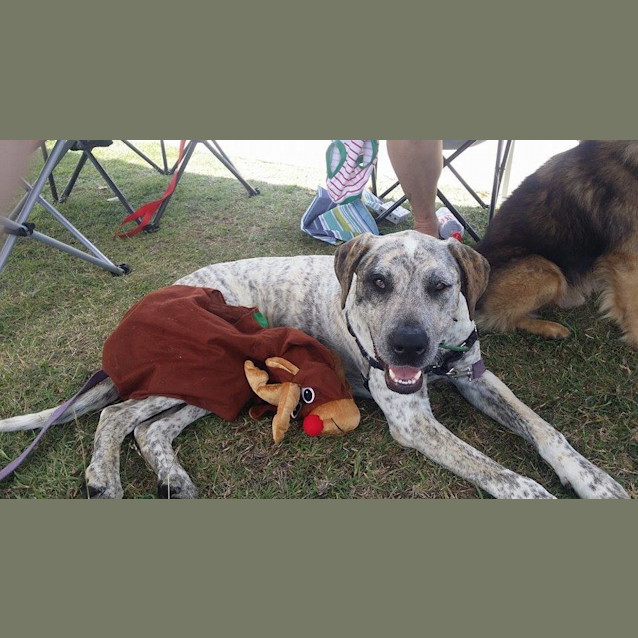 Photo of Mikah (Adoption Pending)