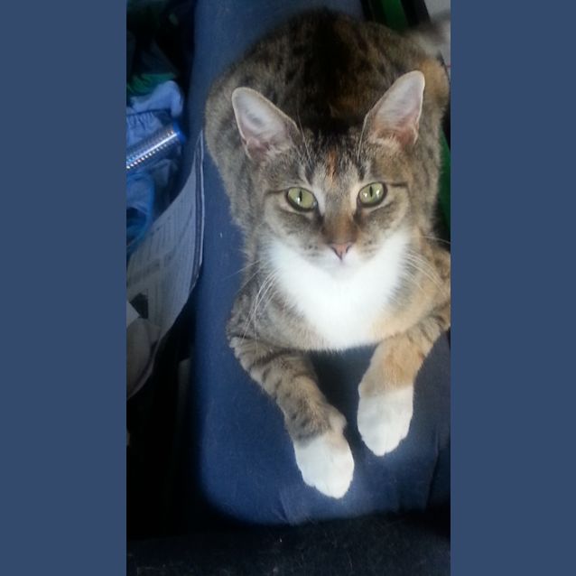 Photo of Sarabi * $50 This Month!* 