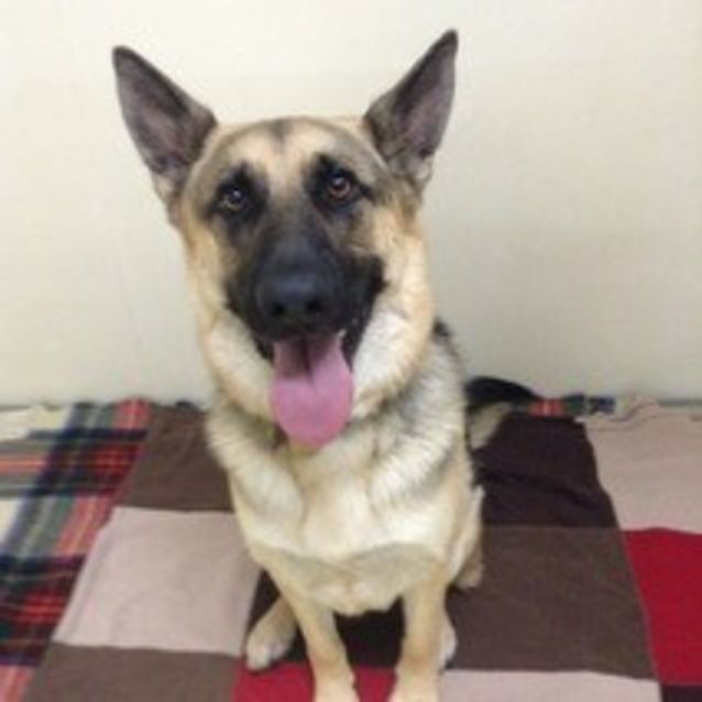 Photo of Max