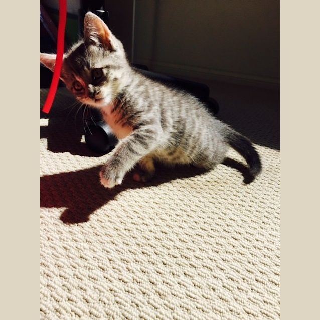 Photo of Tilly