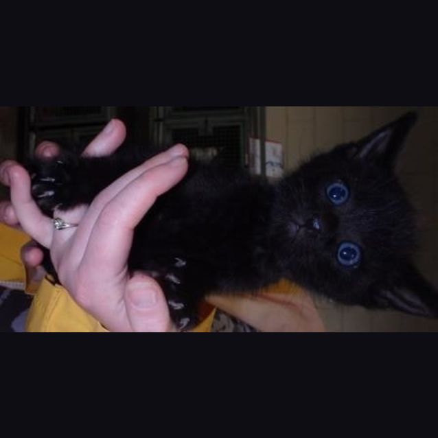 Photo of Spook