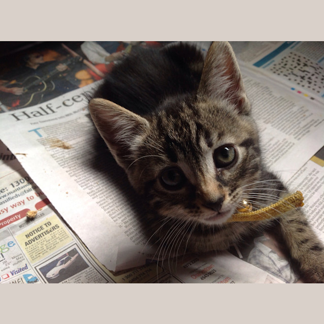 Photo of Tiny