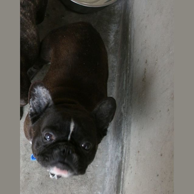 Photo of Abby