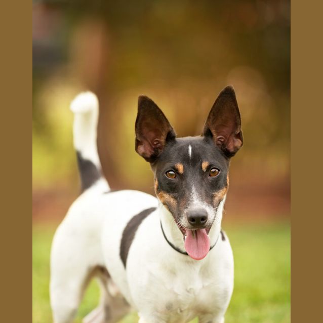 Photo of Adley
