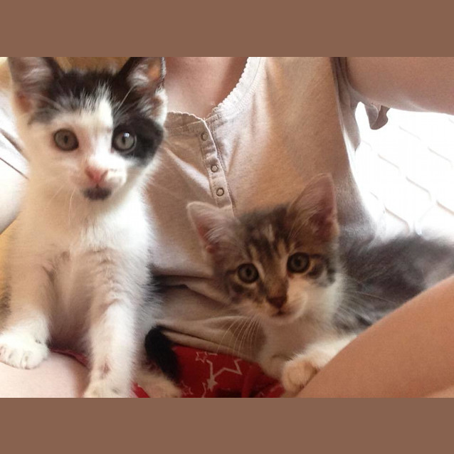 Photo of Xavier And Mr Stark (2 For 1)