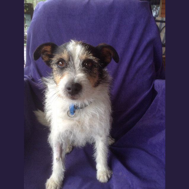 Photo of Lexie