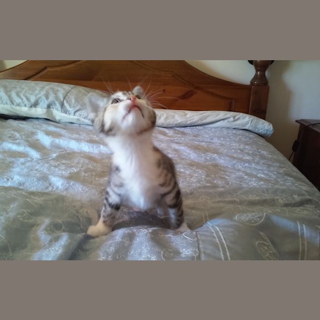 Photo of Miss Mischief