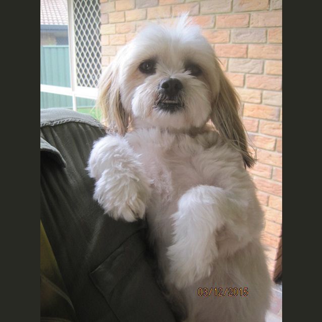 Photo of Bella