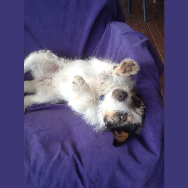 Photo of Lexie