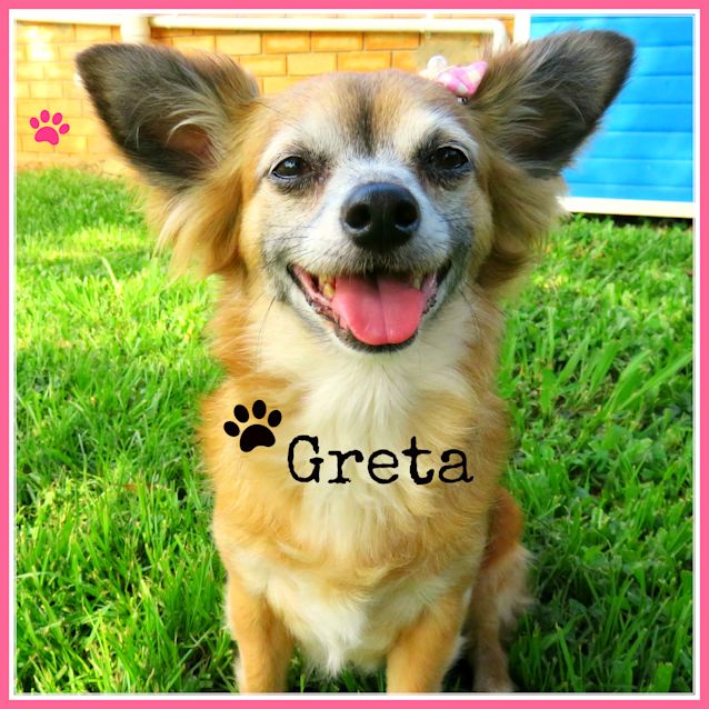 Photo of Greta