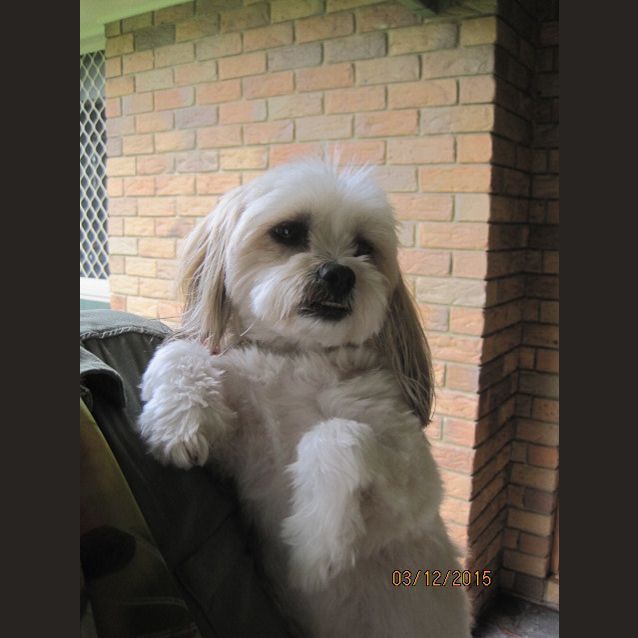 Photo of Bella