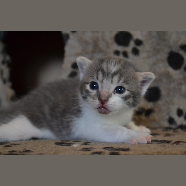 Photo of Xavier And Mr Stark (2 For 1)