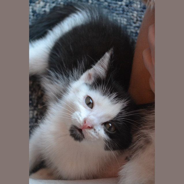 Photo of Xavier And Mr Stark (2 For 1)