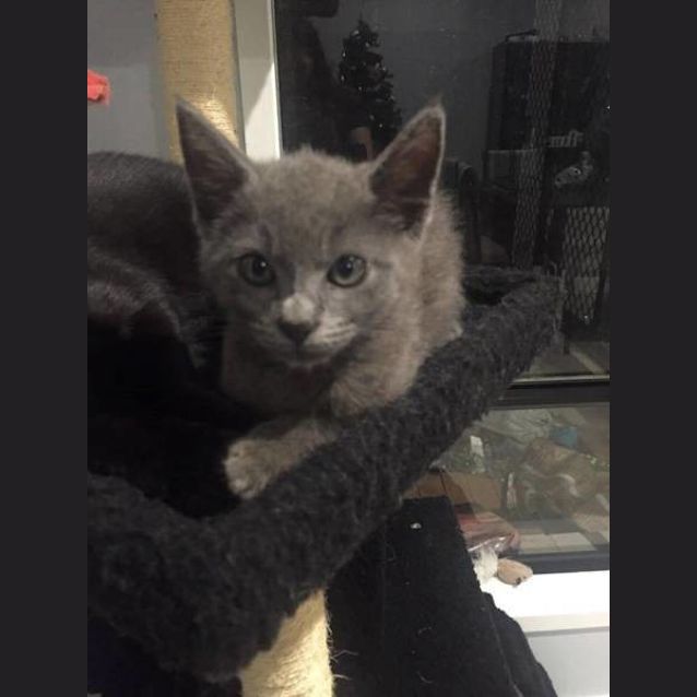 Photo of Gandalf