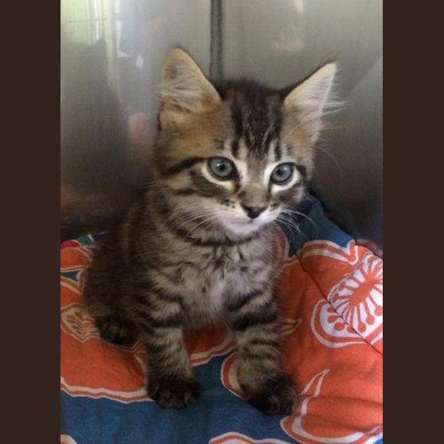 Photo of Timmy