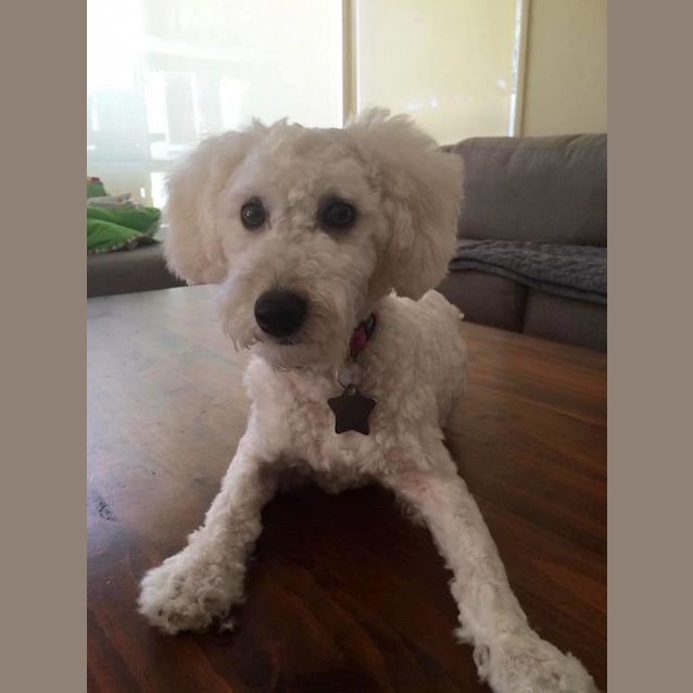 Photo of Snowy