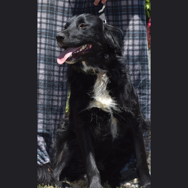 Photo of Lola