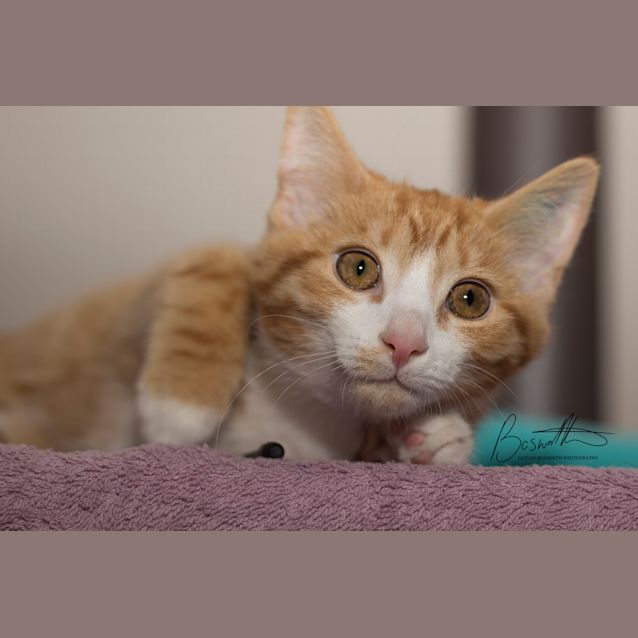 Photo of Benny